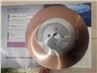 HSS Circular Saw Blade For Metal Stainless Pipe